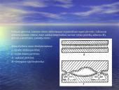 Trinties jėga (skaidrės) 10 puslapis