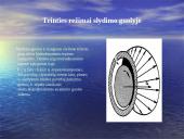 Trinties jėga (skaidrės) 12 puslapis