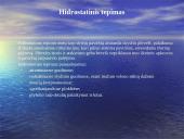 Trinties jėga (skaidrės) 7 puslapis