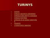 Vaikų stresas 2 puslapis