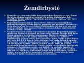 Valstiečių buitis 2 puslapis