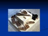 Valstiečių buitis 13 puslapis