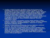 Valstiečių buitis 3 puslapis