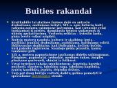 Valstiečių buitis 5 puslapis