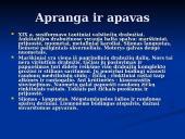 Valstiečių buitis 10 puslapis