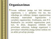 Viešojo administravimo nuostatos Raulinaičio knygoje "Administracijos principai" 17 puslapis