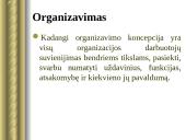 Viešojo administravimo nuostatos Raulinaičio knygoje "Administracijos principai" 18 puslapis