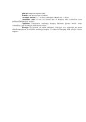 Australijos gyvūnija 5 puslapis