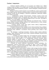 Mikalojus Konstantinas Čiurlionis - gyvenimas bei menas 2 puslapis