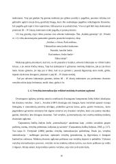 Advento laikotarpio giesmės kaip mokinių dvasinio ugdymo veiksnys 16 puslapis