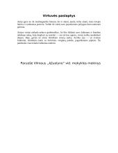 Airijos geografinis aprašymas  17 puslapis