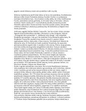 Airijos geografinis aprašymas  6 puslapis