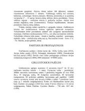 Airijos Respublika 6 puslapis
