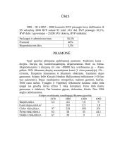 Airijos Respublika 7 puslapis