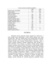 Airijos Respublika 8 puslapis