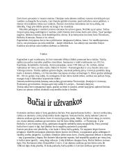 Akmens amžius 5 puslapis