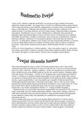 Akmens amžius 7 puslapis