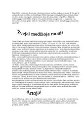 Akmens amžius 8 puslapis