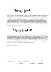 Akmens amžius 9 puslapis