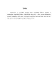 Akumuliatorių veikimas 13 puslapis