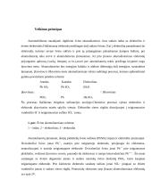 Akumuliatorių veikimas 3 puslapis