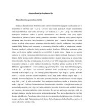 Akumuliatorių veikimas 6 puslapis