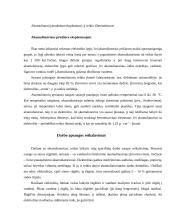 Akumuliatorių veikimas 7 puslapis