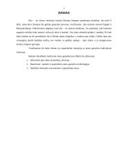 Alaus gamybos tradicijos Lietuvoje 2 puslapis