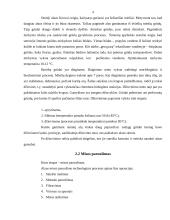 Alaus gamybos tradicijos Lietuvoje 4 puslapis