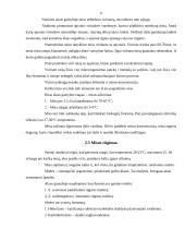 Alaus gamybos tradicijos Lietuvoje 6 puslapis