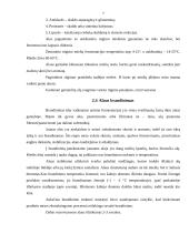 Alaus gamybos tradicijos Lietuvoje 7 puslapis