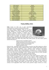 Alergija ir jos padariniai 7 puslapis