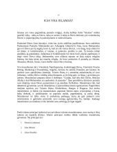 Arabų religija ir gyvenimas 3 puslapis