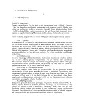 Arabų religija ir gyvenimas 4 puslapis