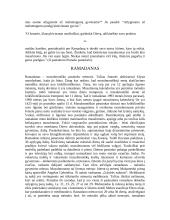 Arabų religija ir gyvenimas 7 puslapis