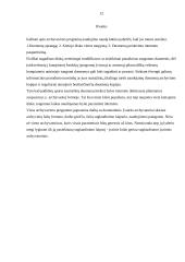 Archyvavimo samprata, paskirtis, programos 12 puslapis