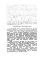 Austrijos turizmas ir geografija 14 puslapis
