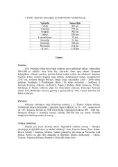 Austrijos turizmas ir geografija 4 puslapis