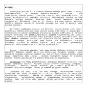 Austrijos istorija ir tradicijos 3 puslapis