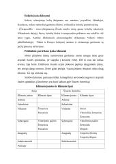 Azijos aprašymas 11 puslapis