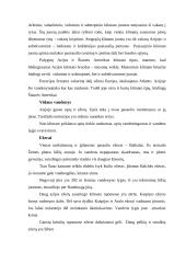 Azijos aprašymas 12 puslapis