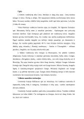 Azijos aprašymas 13 puslapis