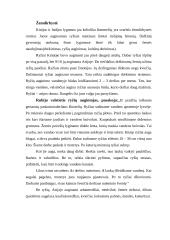 Azijos aprašymas 15 puslapis