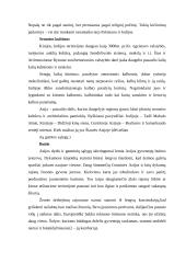 Azijos aprašymas 5 puslapis