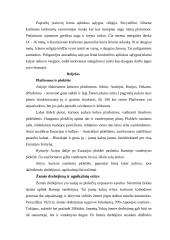 Azijos aprašymas 6 puslapis