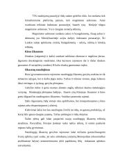 Azijos aprašymas 9 puslapis