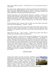 Azijos žemyno ypatybės 7 puslapis