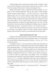 Baltijos jūros geologiniai procesai 15 puslapis
