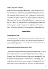 Baltų dvasinė akmens amžiaus kultūra 5 puslapis