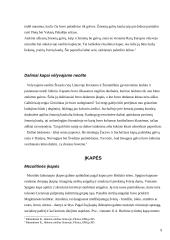 Baltų dvasinė akmens amžiaus kultūra 6 puslapis